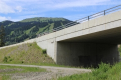 alpineoverpass1