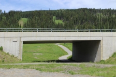 alpineoverpass2