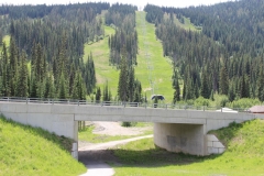 alpineoverpass3